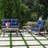 Lehigh 4-Piece Deep Seating Set-734303581