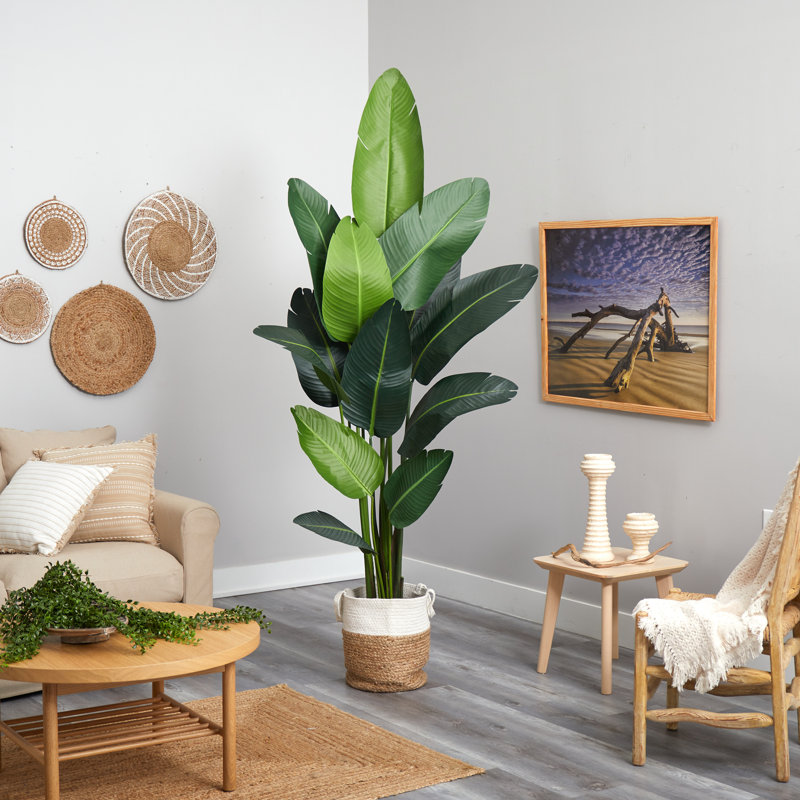 7ft. Artificial Travellers Palm Tree with Handmade Jute & Cotton Basket
