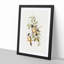 Buff-Sided Robins by Elizabeth Gould - Picture Frame Art Print-55512999-55512998