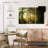 Alvord Forest Road Sunshine-107989947