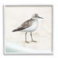 «Sandpiper Bird at Water's Edge Beach Shoreline» par Lucca Sheppard, reproduction d'art graphique sur toile flottante
