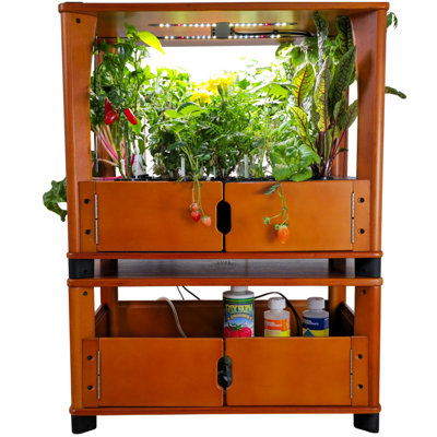Hydroponics Growing System – Wooden Indoor Herb Garden Kit with LED Grow Light, 24 Starter Plants Included, Scalable to 96 Plants, No Subscriptions, Just Add Water
