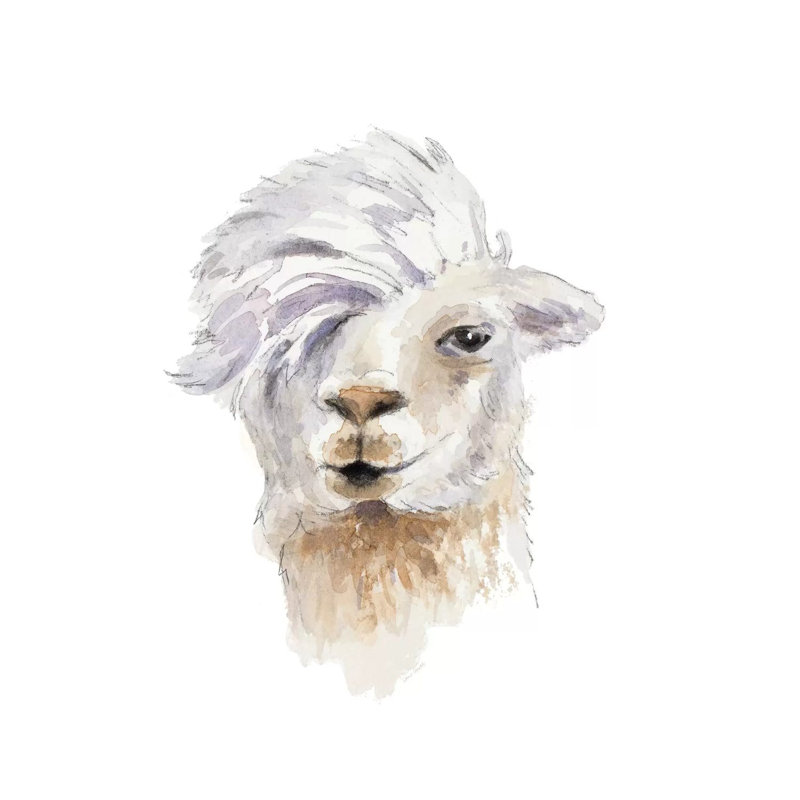 Comb Over Llama by Lanie Loreth - Wrapped Canvas Gallery-Wrapped Canvas Giclée, 66.04 cm H x 66.04 cm W x 1.91 cm D