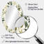 Miroir mural Tranquil Leaves - vert-633419457