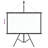Projection Screen Home Theater Screen Pull-down-80889494