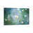 Rock Jasmine by Jacky Parker - Wrapped Canvas Gallery-Wrapped Canvas Giclée-418170711