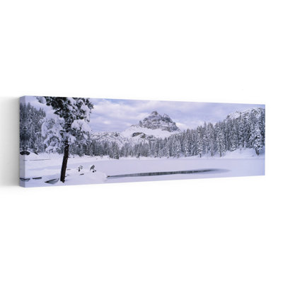 Arbres le long d'un lac gelé, lac Antorno, Tre Cime Di Lavaredo, Dolomites, Cadore, province de Belluno, Vénétie, Italie, paysage contemporain abstrait ...