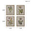 Ensemble de 4 impressions sur toile encadrées Botanical Illustration