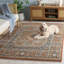 Tapis performance oriental Broomhedge Bijar-19818014-130812945