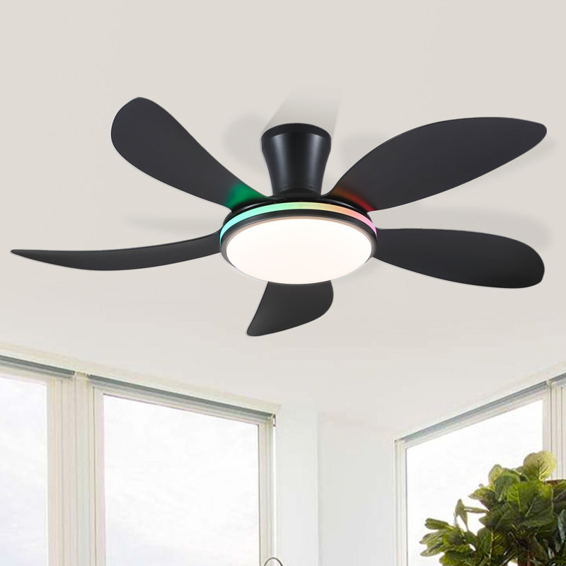 Ventilateurs de plafond modernes à profil bas de 48 pouces à 5 pales avec lumières et télécommande / app, Noir RVB