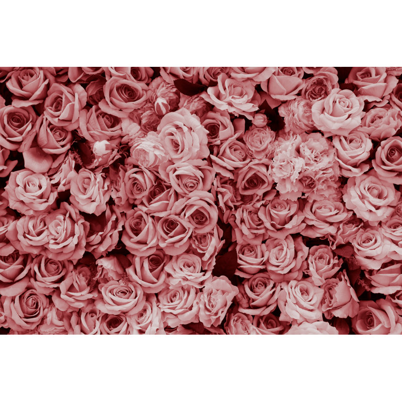 Pink Rose Image by Kyonntra - Wrapped Canvas Print, 61cm H x 91cm W