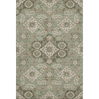 Premium Machine Washable Xamiera AMF1853 Global Rug