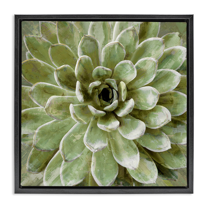Vert succulent botanique vert, H 18 po x l 18 po, Cadre flottant noir de jais