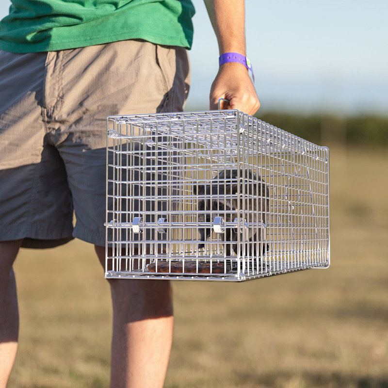 Cage à piège pour animaux 9,05 x 9,84 x 25,59 po