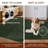 Somos Modern Machine Washable Area Rug-504722594-516155426
