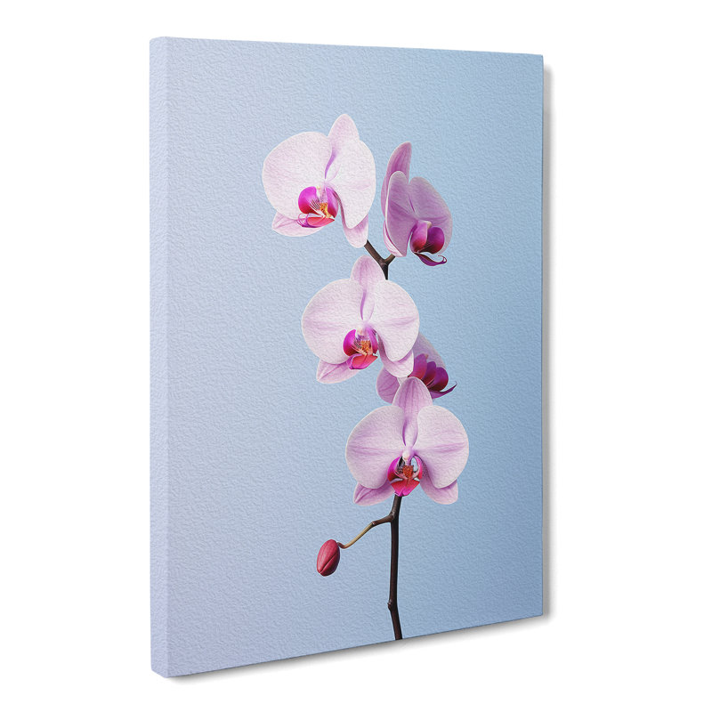 Orchid Flower Minimalism - Wrapped Canvas, 50cm H x 35cm W x 3cm D