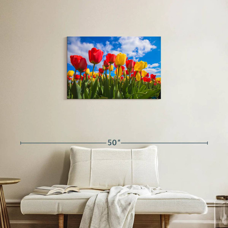 Champ de tulipes Harnek Spring, H 20 po x l 30 po
