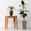 Arrangement floral de singe artificiel dans un vase