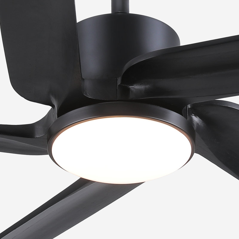 Lecole 52'' Ceiling Fan with LED Lights, Black