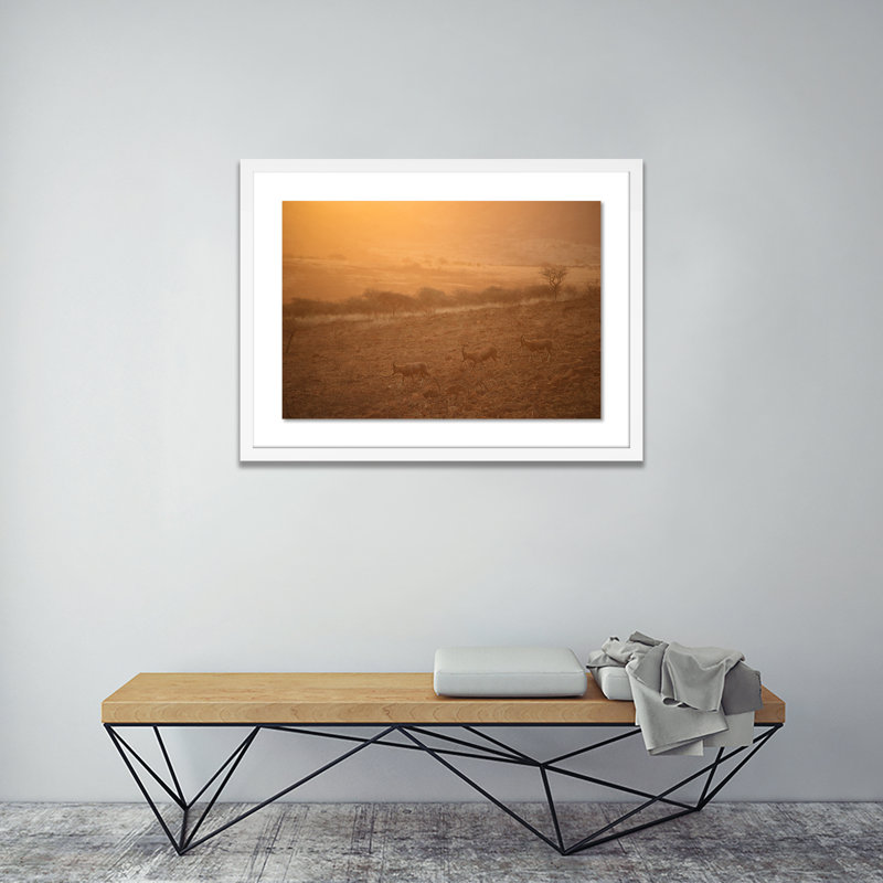 Into The Wild 1 by Jade Hammer, White, 18" H x 24" W x 1.5" D