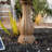 Outdoor Fountain-1610713821