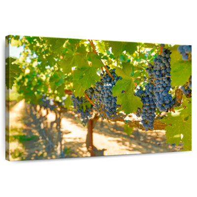 Yarlin Napa Valley Grapes