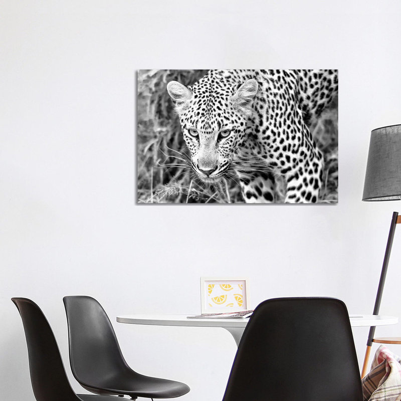 Leopard Close Up In Black And White by MScottPhotography - Wrapped Canvas Gallery-Wrapped Canvas Giclée