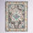 Almyra Oriental Gray/Light Blue Area Rug-1471456072