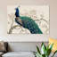 «Peacock & Blossoms II», reproduction d'art sur toile tendue-20814837-72689227-72689228