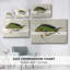 Toile tendue avec collection de poissons tropicaux I-Gallery-1142764769