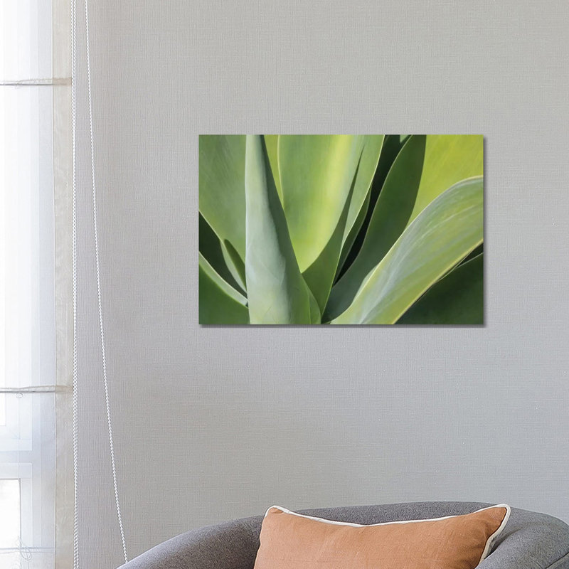 Aloe I by Barbara Markoff - Wrapped Canvas Print, 66.04 cm H x 45.72 cm W