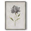 «Botanical Beauty II», reproduction encadrée - bois massif 45957-1283449309