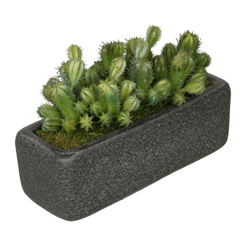 Vase à cartouche de cactus artificielle en décoratif, Noir