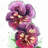 Two blossoming orchid with wavy petals - 32"x32" art on canvas