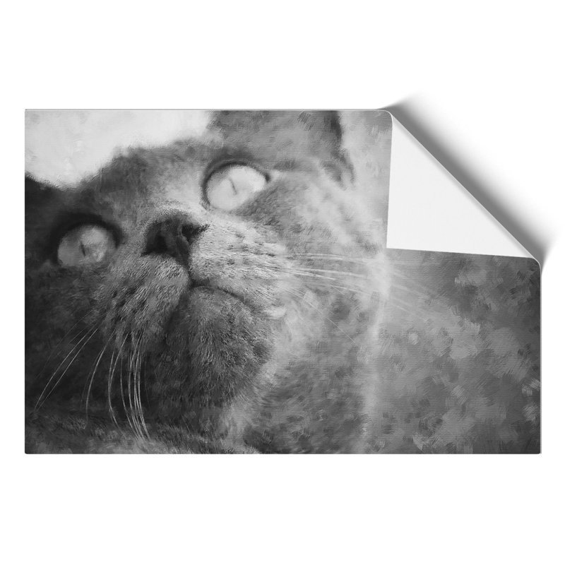 British Shorthair Cat Vol.3 - No Frame Print, 30cm H x 42cm W x 0.1cm D
