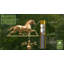 Girouette de cheval-29330050