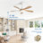 Damecia 52'' Ceiling Fan with LED Lights-297176346