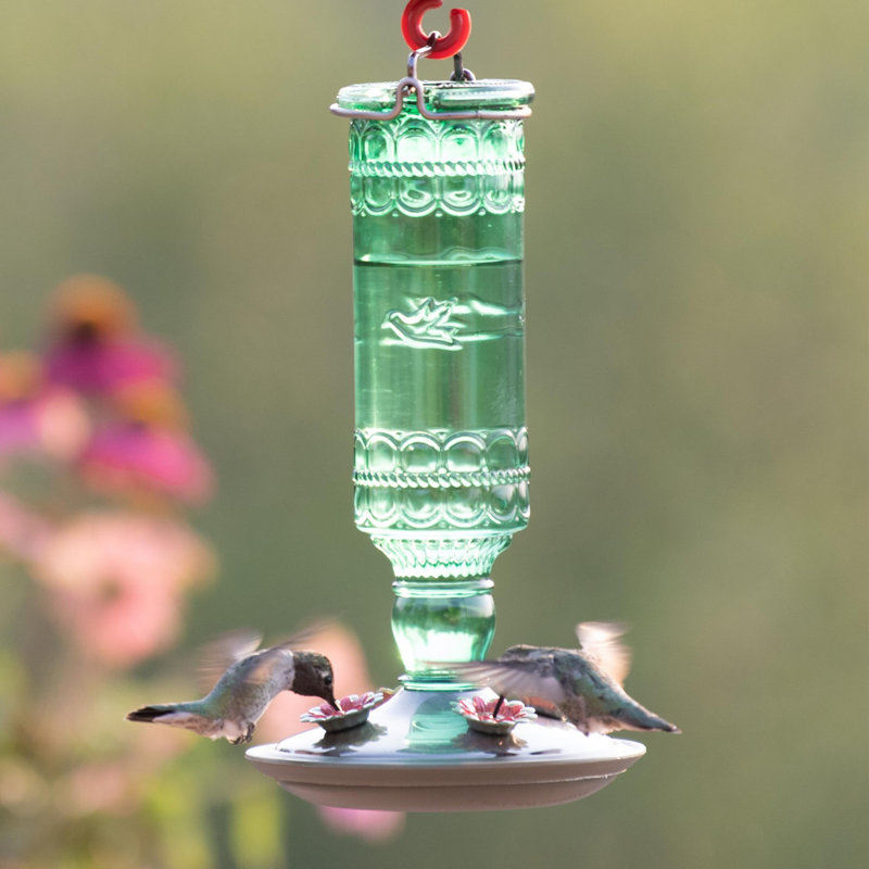 Mangeoire en verre pour colibris pour l'extérieur