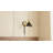 Alcala 1-Light Matte Black Wall Sconce
