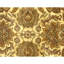 Hand Knotted Wool Oriental Area Rug in Gold And Ivory