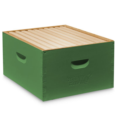 Ensemble de corps de ruche profonde Arlmont & Co., peint et assemblé avec 10 cadres - vert