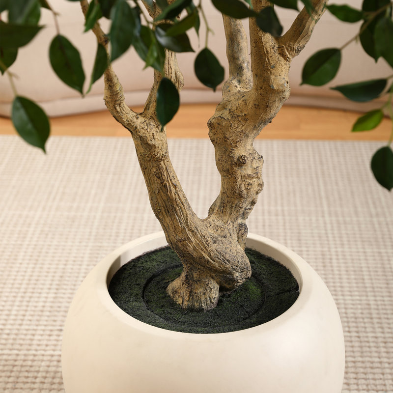 8ft Artificial Ficus Tree with 18in White Planter, Tall Faux Ficus Tree for Indoor, Home Decor