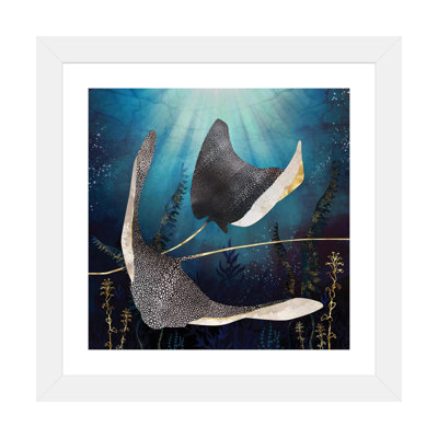 " Metallic Stingray "