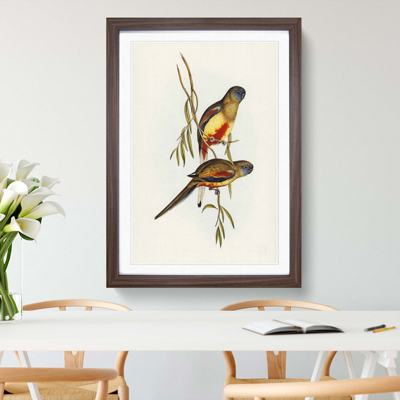 Crimson-Bellied Parakeets by Elizabeth Gould - Framed Print, 36cm H x 27cm W x 2cm D, Walnut Framed