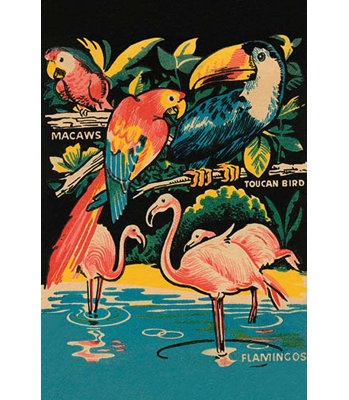 « tropical hobbyland-oiseaux », impression