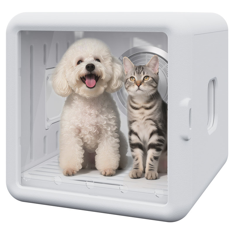 Boîte de séchage intelligente pour animaux de compagnie pour chats et petits chiens - Sécheuse silencieuse de 65 L avec souffleur d'air rapide