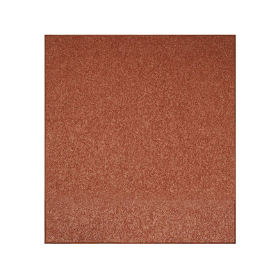 Modern Plush Pet and Kids Friendly Solid Color Area Rugs, Stain & Fade Resistance, Bedroom, Playroom and Kidsroom, Event, Wedding, Perfect for Living Room, Dining Room, Rust Melida Rug