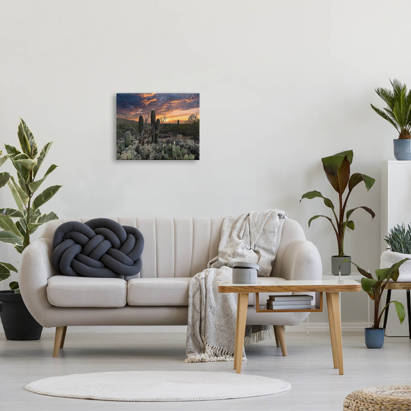Cactus aride du désert - Photographie sur toile tendue, H 16 po x l 20 po x P 1,5 po