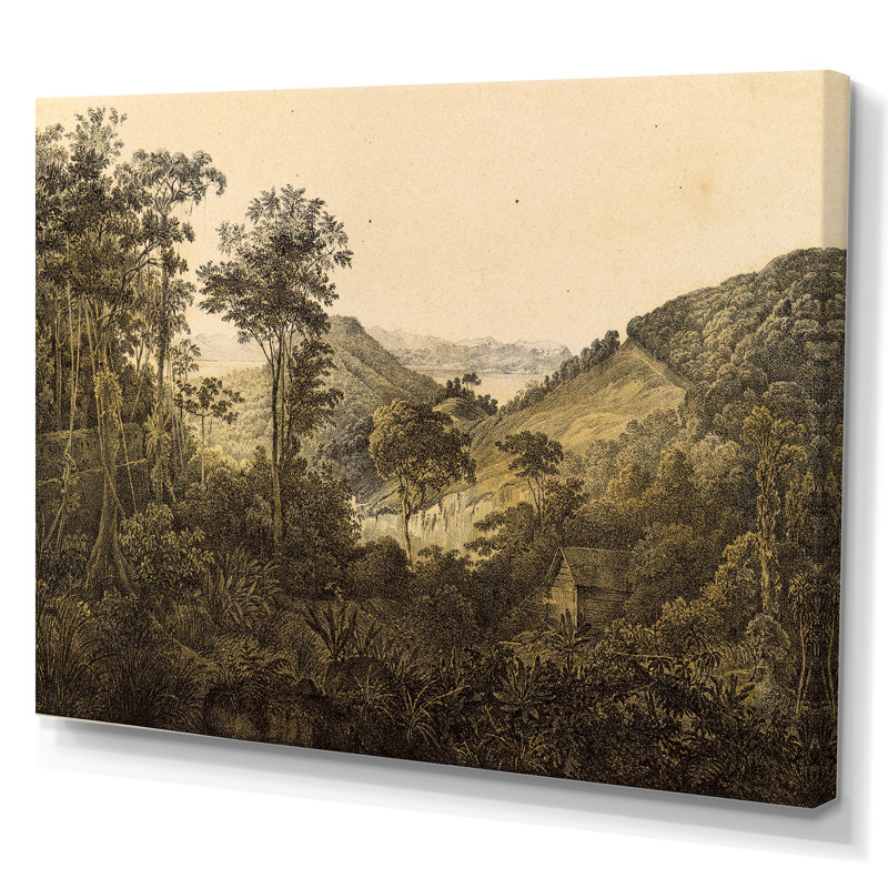 Nature de l'Amérique du Sud, image ancienne - peinture sur toile, Toile tendue, H 40 po x l 60 po x P 1,5 po
