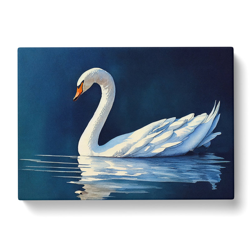 Swan Watercolour Vol.1 - Wrapped Canvas Print, 35cm H x 50cm W x 3cm D